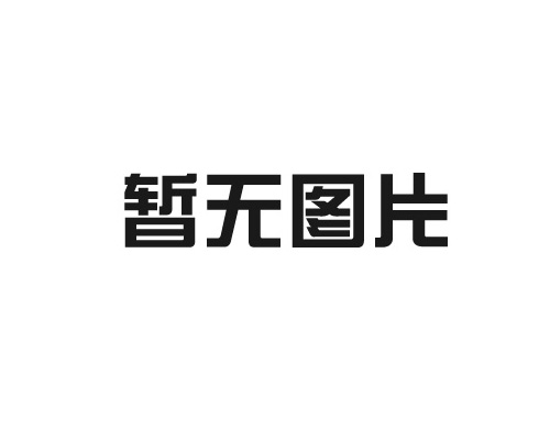 湖北保康縣勝旺出租車汽車有限公司100輛出租車運營建設項目可研報告